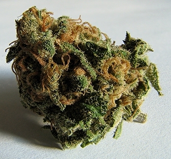 Dealer Urges 
